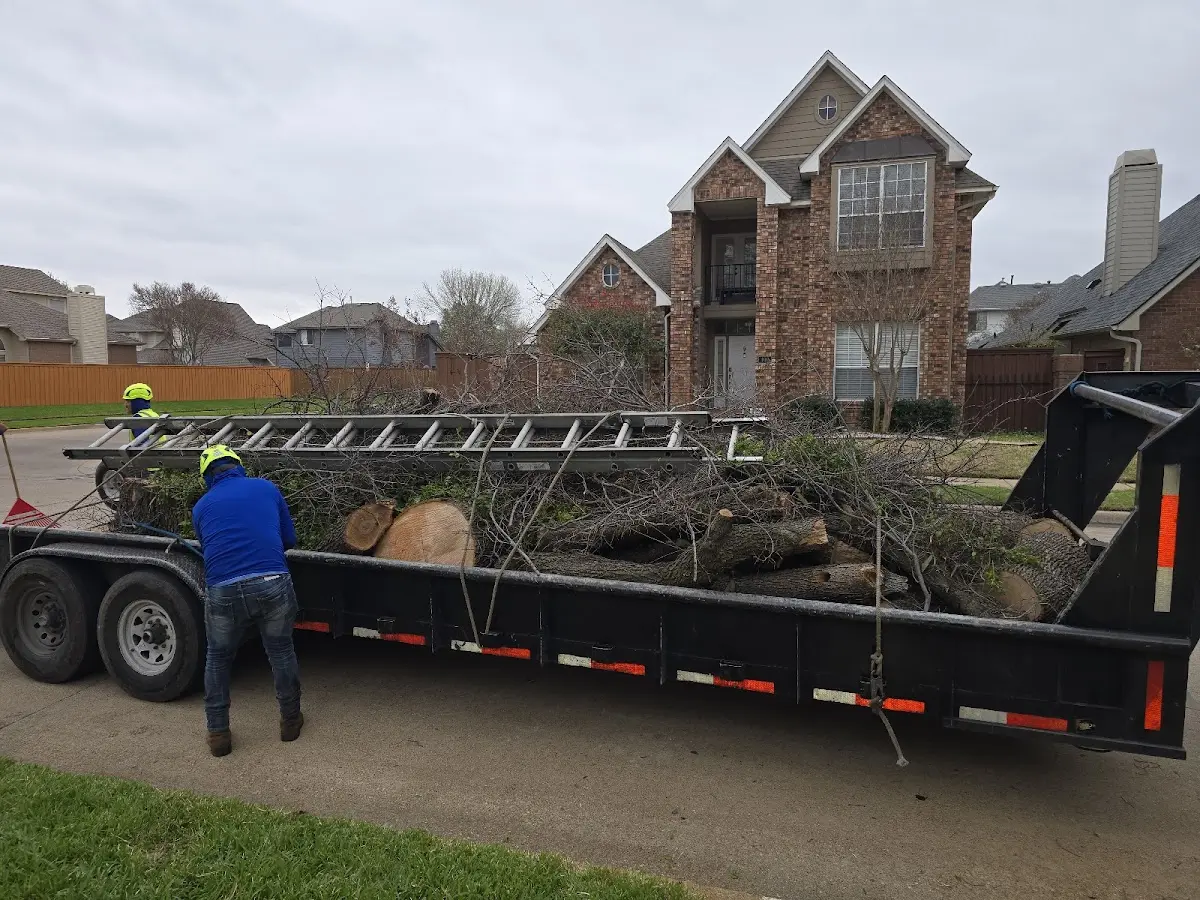 Expert Tree Pest Control with proper safety equipment in Lisbon